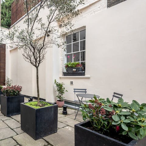 Relax in the communal courtyard