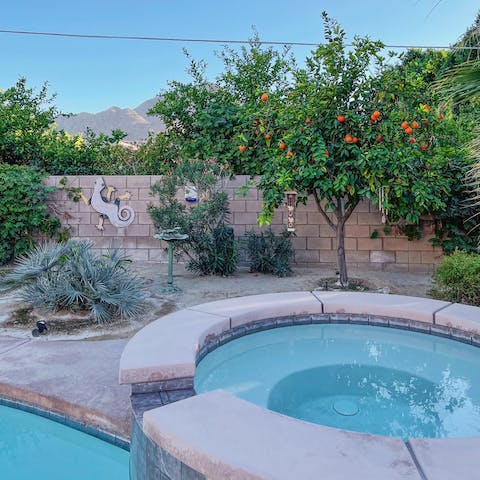 Take an evening dip in the hot tub, munching on fruit from the citrus trees