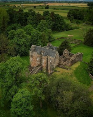 The Regal Castle image 13