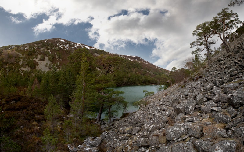 Highland Paradise additional image