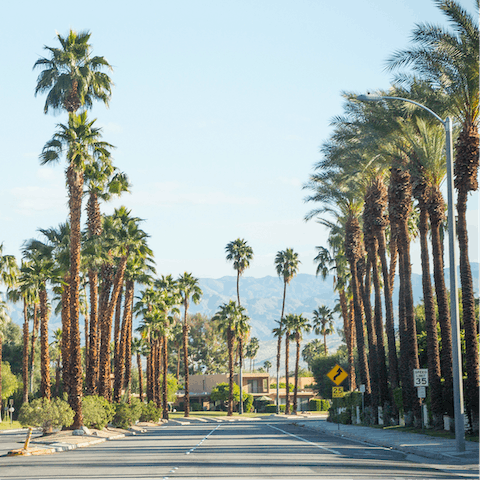 Soak up the unique atmosphere of the Coachella Valley