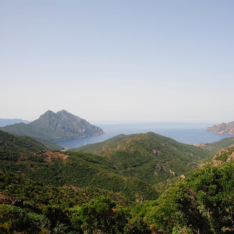 Explore the coastal towns, dense forests and craggy peaks of Corsica
