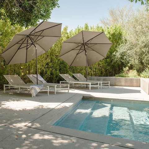 Lounge by the pool