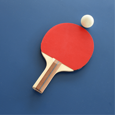 Play a few games of table tennis with loved ones
