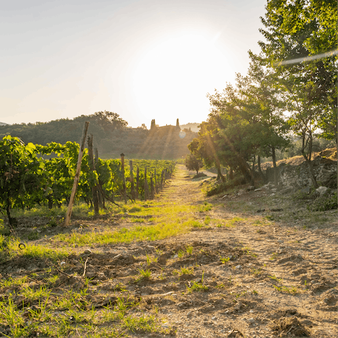 Take long walks through the countryside