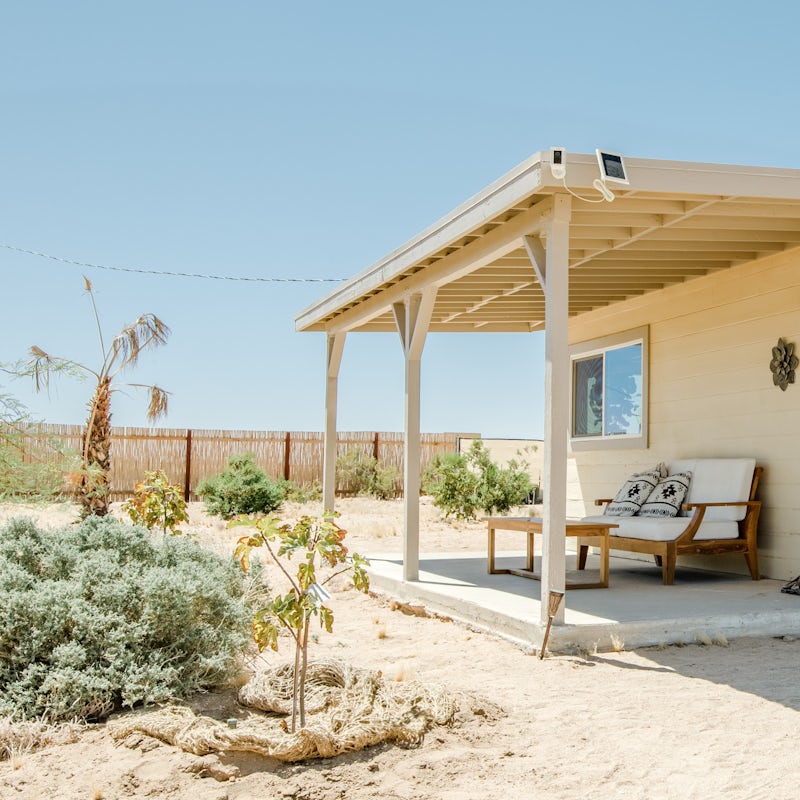 Feel yourself rooted to the desert landscape
