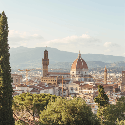 Drive into the stunning city of Florence for its art, culture, and beauty