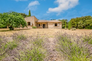 Provençal Vista image 10