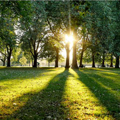 Take your morning walks through leafy Clapham Common, just fourteen minutes away on foot