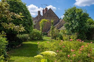 Tea & Roses image 2