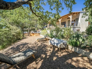 Lourmarin Lavender image 7