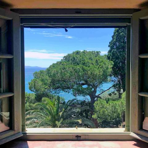 Windows that frame the views perfectly