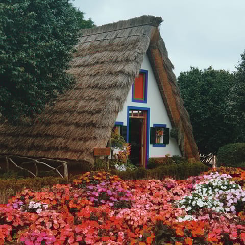 Take some snaps of Santana's traditional thatched houses, a twenty-minute drive away