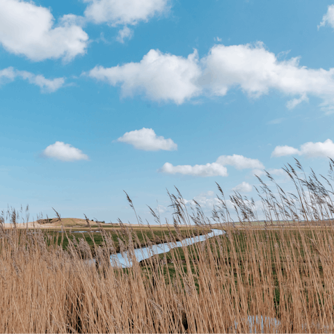 Stay in the peaceful countryside amidst the Norfolk Broads