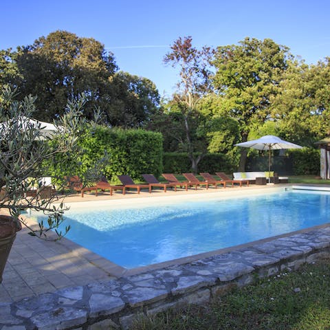 Take a dip in the pool surrounded by fresh greenery
