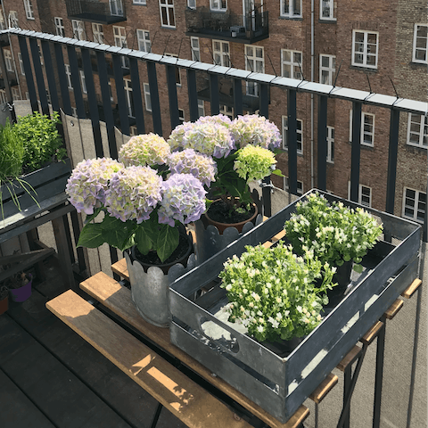 Enjoy your morning coffee out on the balcony among flowers