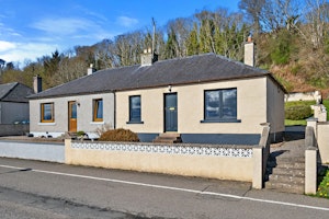 Majestic Moray image 1