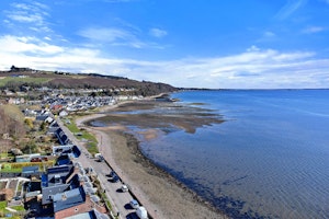 Majestic Moray image 3