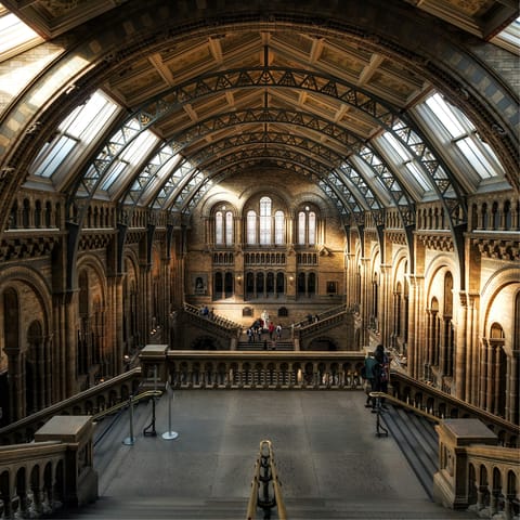Spend the day at the Natural History Museum, within walking distance