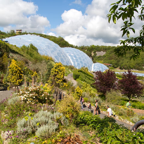 Visit the Eden Project, just a twenty-five minute drive away