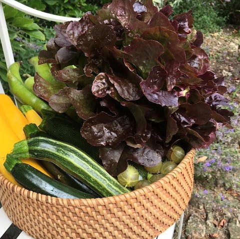 Cook with fresh, seasonal vegetables straight from the garden