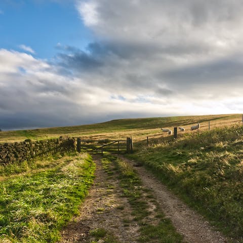 Discover the many walking trails through the North York Moors National Park right on your doorstep