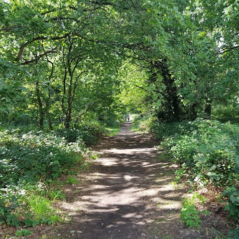 Enjoy a summer stroll through the nearby Putney Heath