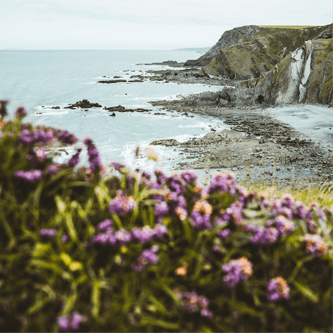 Explore the rugged beauty of the North Devon and Cornwall coastlines – both are a little over thirty minutes' drive away 
