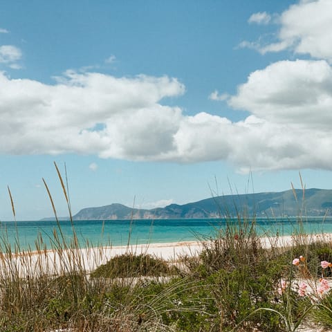 Drive up to the Tróia Peninsula with its laid-back sandy beaches