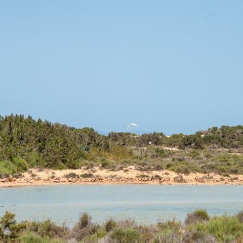 Explore the beauty of Formentera