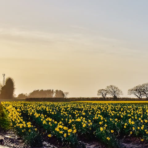 Lace up your hiking boots and go for a long walk through the surrounding countryside