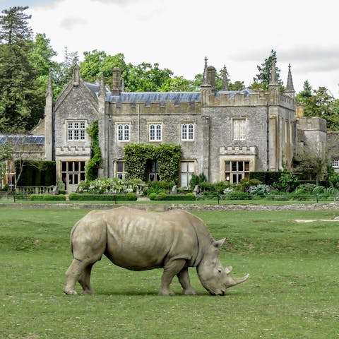 Hop in the car and be at the Cotswold Wildlife Park and Gardens in only seven minutes