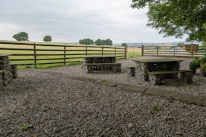 Gazing & Grazing image 8