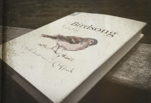 The Midsummer Song image 13