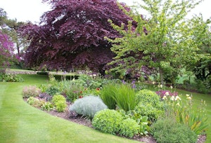 The Midsummer Song image 10