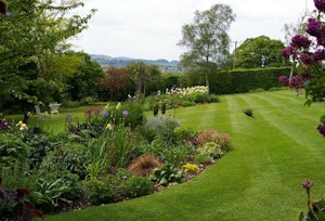 The Midsummer Song image 7