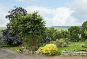 The Midsummer Song image 3