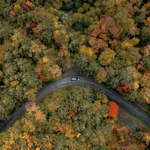 Put on your hiking boots and explore the Catskill Mountains