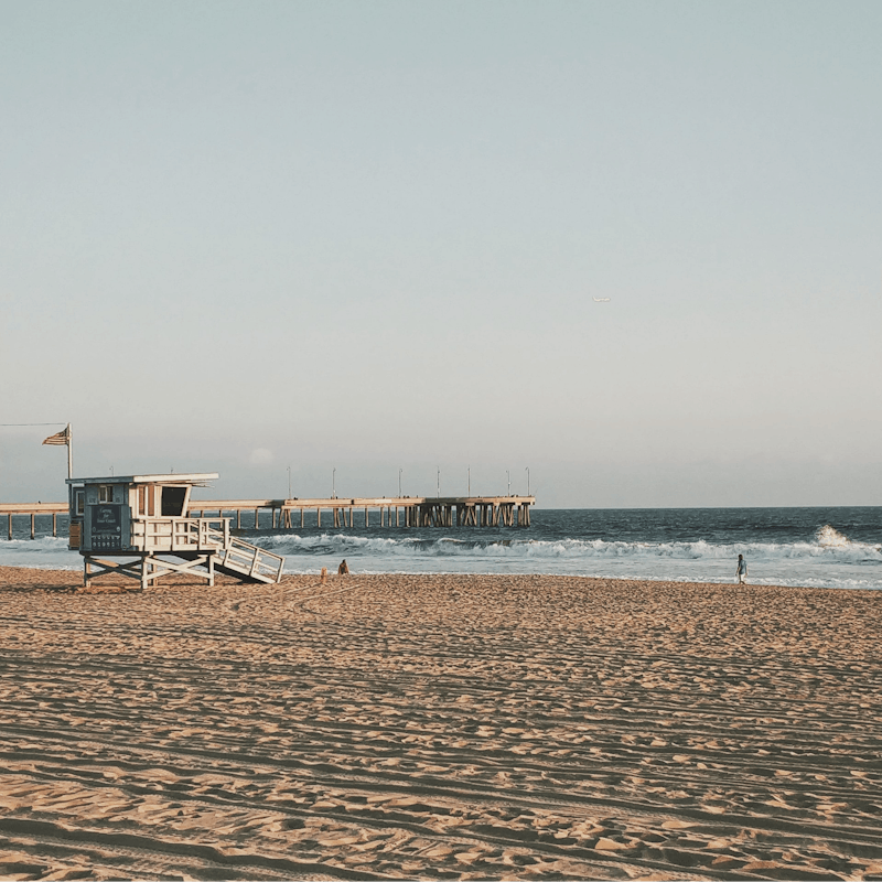 Soak up the sun, sand and surf on the iconic Venice Beach