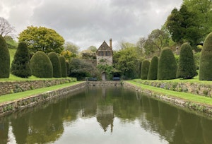 The Victorian Piggery image 2