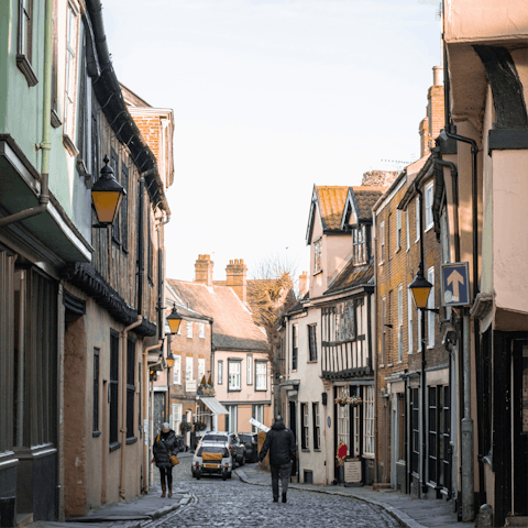 Spend the day in the historic city of Norwich, twenty miles from home