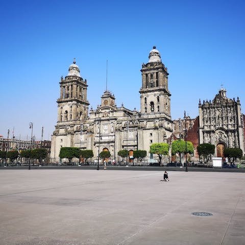 Explore Mexico City from the lively district of Condesa