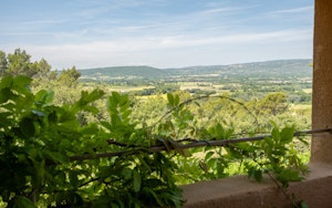 Luberon Lovely image 4