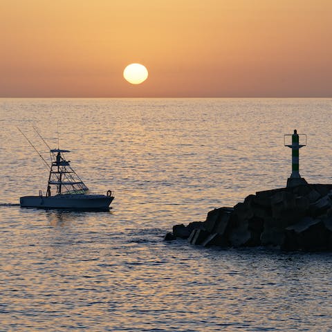 Drive to the nearby shoreline of Arco da Calheta and go whale and dolphin watching