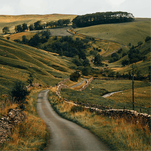 Saddle up for a cycle through the Yorkshire Dales National Park