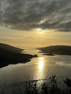 The Highland Harbor image 6