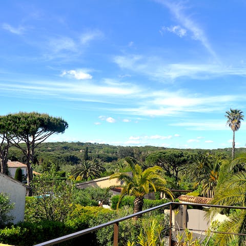 Take in scenic views of the Mediterranean fauna and flora from the balcony