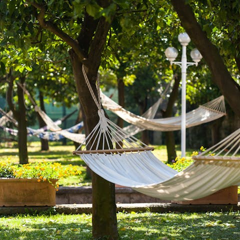 Snooze in a hammock strung up in the orange grove