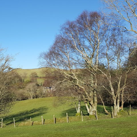 Gaze out to countryside views from the garden