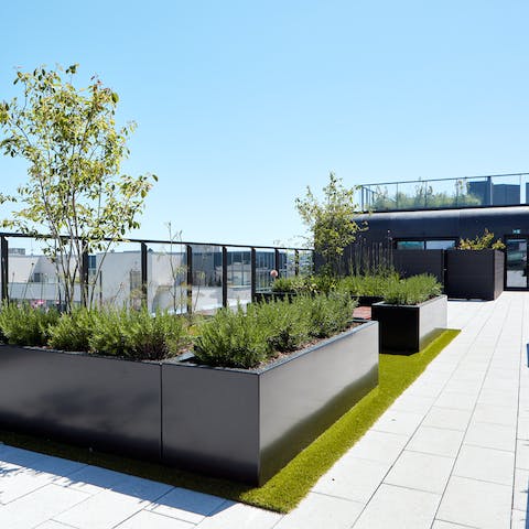 Take in views over the Docklands at sunset from the building's shared rooftop terrace